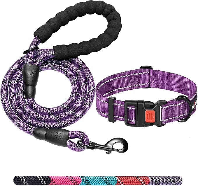 Heavy Duty Dog Leash - Comfortable Padded Handle, 5 ft Long - Dog Leashes for Small Medium Large Dogs (Leash+Collar S Neck 13.5"-16", Purple)-PawvioPets