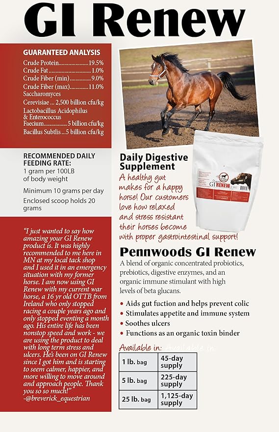GI Renew, Probiotics for Equine, Immune and Appetite Stimulation, Prebiotics, Digestive Enzymes | Horse Supplement Providing Ulcer Relief and Organic Toxin Binder, 5 LB Pouch-PawvioPets