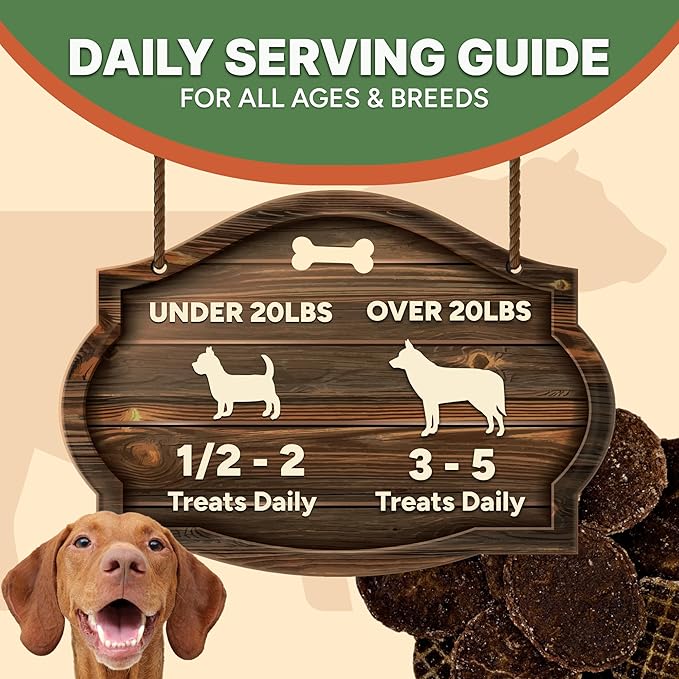 Gaines Family Farmstead Beef Chips for Dogs – 6 oz, Natural Single-Ingredient Dog Treats, High-Protein Rawhide-Free Chews, Healthy Grain-Free Snacks, Made in USA-PawvioPets