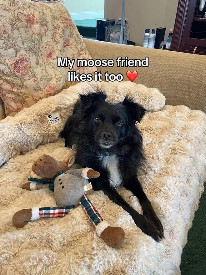 FUNNY FUZZY Pet Fluffy Fuzzy Couch Cover, Calming Washable Dog Bed Sofa Protector Pets Mat for Small Medium Dogs and Cats (Coffee,33.45 × 28.35 × 5.51 in)-PawvioPets