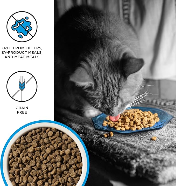 BIXBI Liberty Dry Food Salmon Recipe for Cats, 3lb-PawvioPets