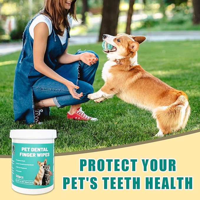 Dog Teeth Dental Finger Wipes for Dogs & Cats No-Rinse Dog Finger Toothbrush Dog Plaque & Tartar Prevention with Brushing Beads Dog Breath Freshene 50pcs-PawvioPets