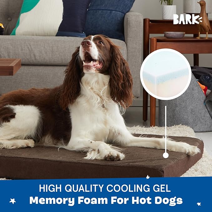 Barkbox Orthopedic Dog Bed with Memory Foam, Premium Comfort for Dogs and Puppies, Dog Bed for Joint Relief and Restful Sleep, Durable and Easy to Clean - Espresso, Large-PawvioPets