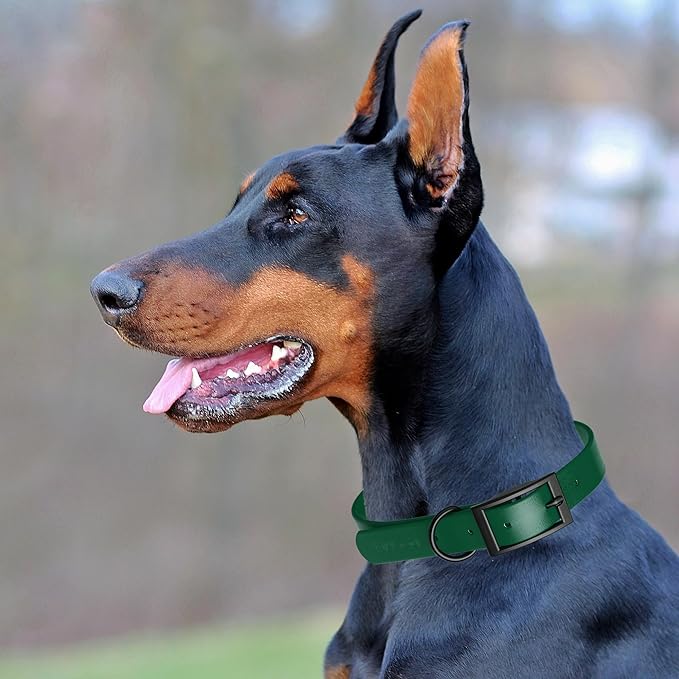 Dogline Biothane Waterproof Dog Collar Strong Coated Nylon Webbing with Black Hardware Odor- Proof for Easy Care Easy to Clean High Performance Fits Small Medium or Large Dogs, Hunter Green-PawvioPets