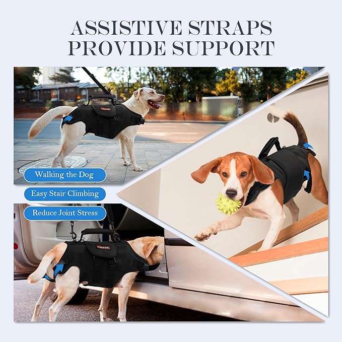 Dog Lift Harness, Full Body Support with Adjustable Control Handle for Large Senior Dogs, Post-Surgery Recovery & Joint Problems (Oxford Cloth, XL)-PawvioPets