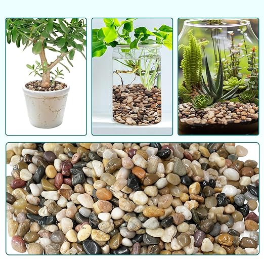 2.5 lbs Pebbles for Indoor Plants, Vase, Succulent, 3/8" Gravel for Plants, Pots Indoor, Bamboo Rocks for Bamboo Plants, Decorative Small River Rock, Highly Polished-PawvioPets