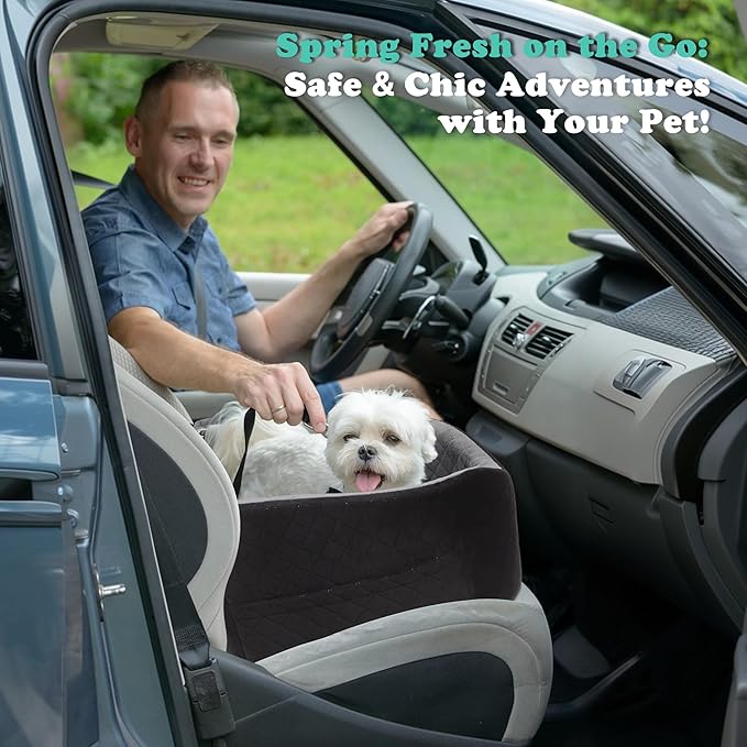 Dog Car Seats for Small Dogs Safety Stable Pet Bed for Car with Seatbelt Up to 30lbs Anti-Collapse for Travel-PawvioPets