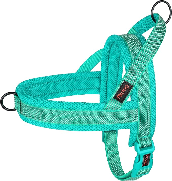 Didog No Pull Dog Harness with Breathable Mesh Padded, Full Reflective & Quick Fit Adjustable Vest Harness, Easy for Training Walking for Small & Medium and Large Dogs (Green, M:Chest 21-26")-PawvioPets