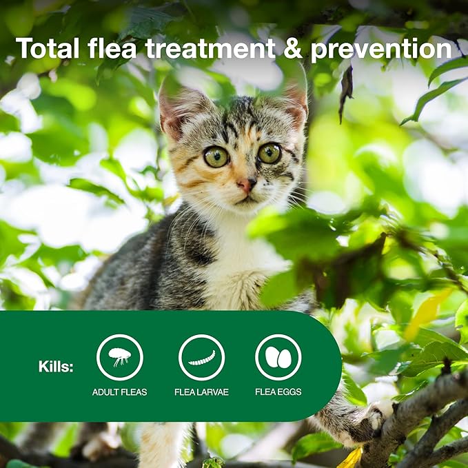Advantage II Kitten Vet-Recommended Flea Treatment & Prevention | Cats 2-5 lbs. | 2-Month Supply-PawvioPets