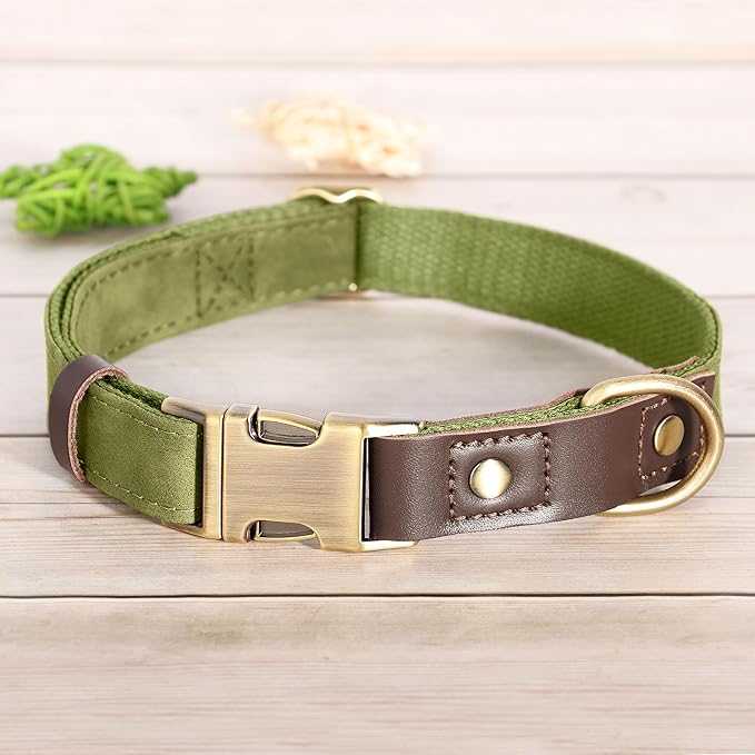 Didog Soft PU Leather Dog Collars for Medium Dogs,Classic Adjustable Dog Collars with Quick Release Metal Buckle,Easy Clean and Comfortable with Nylon Lining,Olive Green,M Neck 13-19"-PawvioPets
