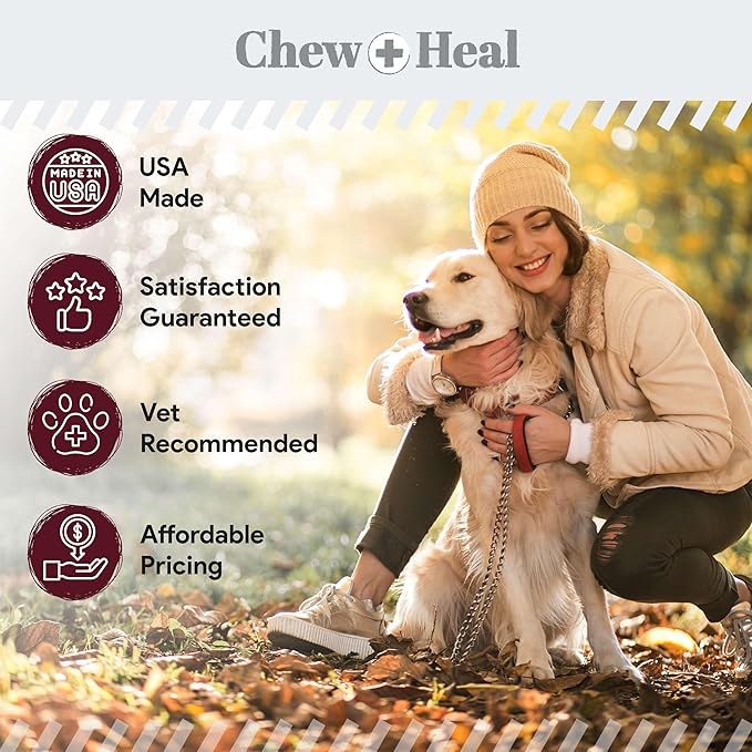 Dog Skin and Coat Supplement -360 Soft Chew Omega Treats for Skin Allergies -Salmon Oil Blend of Essential Fatty Acids, Omega 3, 6, Vitamins, Minerals -Made in USA (2 Packs of 180, Lamb Flavor)-PawvioPets