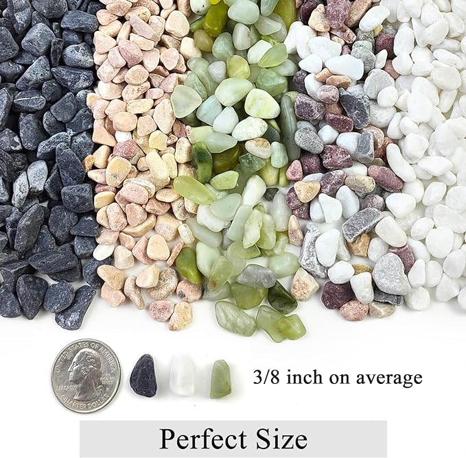 5lbs Natural White Pea Gravel Pebbles for Succulent Cactus, 3/8 Inch White Rocks for Plants Indoor, Vase Fillers, Bowl, Landscaping and Outdoor Garden Decorative White Stones-PawvioPets