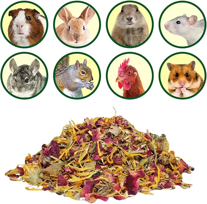 Exotic Nutrition Herbivore Treats 6 Pack - Healthy Assortment Small Animal Pet Treat - Squirrels, Guinea Pigs, Rabbits, Chinchillas, Prairie Dogs, Degus, Hamsters, Gerbils, Herbivores-PawvioPets