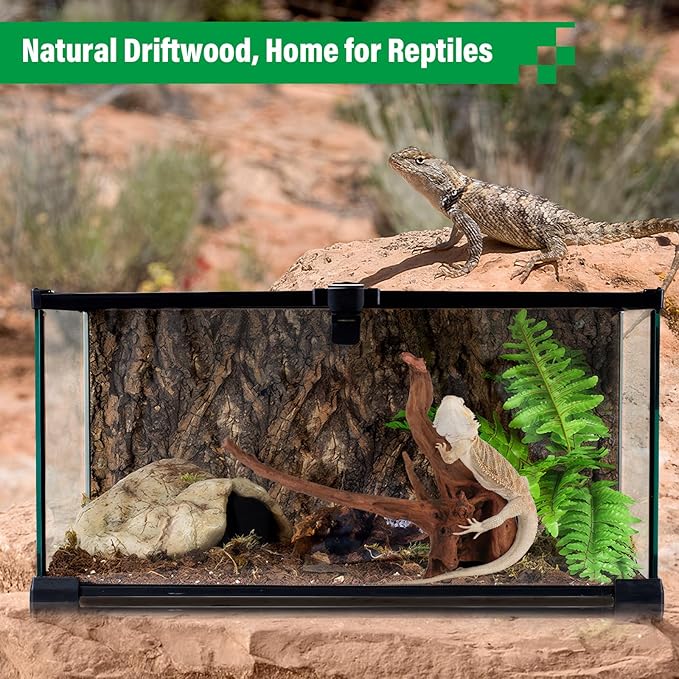 Driftwood for Aquarium Natural Aquarium Wood for Aquascaping Fish Tank Decorations Reptile Tank Decor (Natural Driftwood 6-10" (Pack of 3))-PawvioPets