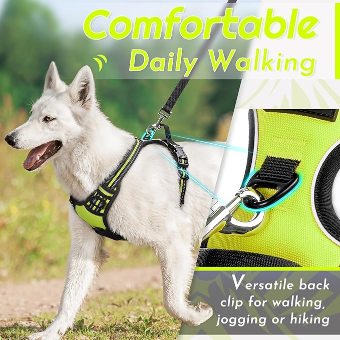 Eagloo Dog Harness Small Sized Dog, No Pull Service Vest with Reflective Strips and Control Handle, Adjustable and Comfortable for Walking, No Choke Pet Harness with 2 Metal Rings, Green, S-PawvioPets