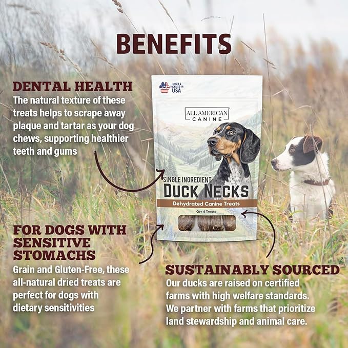 6 Natural Duck Neck Dog Treats – Single Ingredient, Dehydrated & Chewy – Low-Fat, High-Protein Training Reward – Made in USA-PawvioPets