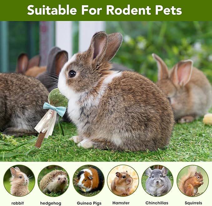 18-Pack Natural Alfalfa & Apple Wood Chew Lollipops for Small Pets - Healthy Dental Toys for Hamsters, Rabbits, Guinea Pigs, Chinchillas-PawvioPets