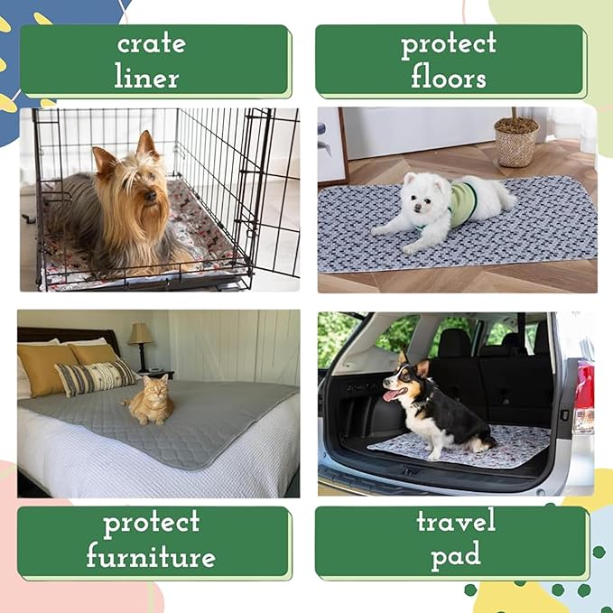 Caldwell's Pet Supply Co. 30x36 Potty Pads, Washable Pee Pads for Dogs, Reusable Pee Pad for Dogs, Puppy Potty Mat, Whelping Rug, Reusable Puppy Mat, Waterproof Rug for Dog, Medium (Set of 2)-PawvioPets