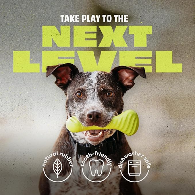 Benebone Natural Rubber Dog Bone Chew Toy, Natural Rubber-PawvioPets