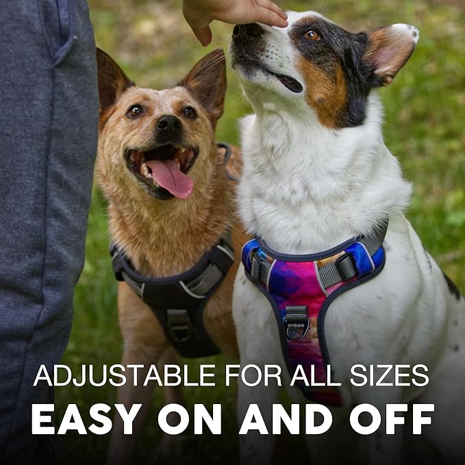 Embark Adventure Dog Harness, No-Pull Reflective Trim Dog Harness for Small, Medium & Large Dogs - Heavy Duty Oxford, 2 Leash Clips & Gel Lined Handle. Soft & Padded Puppy Dog Vest for Any Breed-PawvioPets