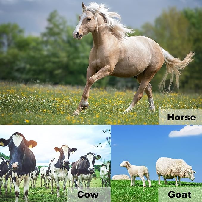 1112 Temp 11pcs Farrier Tools Farrier kit Horse shoeing Tools Farrier Supplies Farrier Tools for Horses Cattle Sheep and Donkeys-PawvioPets