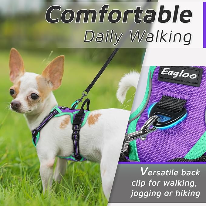 Eagloo Small Dog Harness No Pull, Service Vest with Reflective Strips and Control Handle, Adjustable and Comfortable for Walking, No Choke Pet Harness with 2 Metal Rings, Purple & Green, XS-PawvioPets