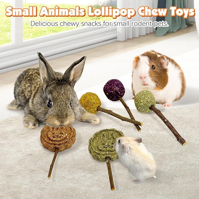 Fhiny Rabbit Chew Toys, 30 PCS Natural Bunny Lollipop Chew Sticks Handmade Guinea Pig Molar Treats for Teeth Small Animals Snacks for Guinea Pig Bunny Chinchilla Hamster Gerbil Teeth Care-PawvioPets