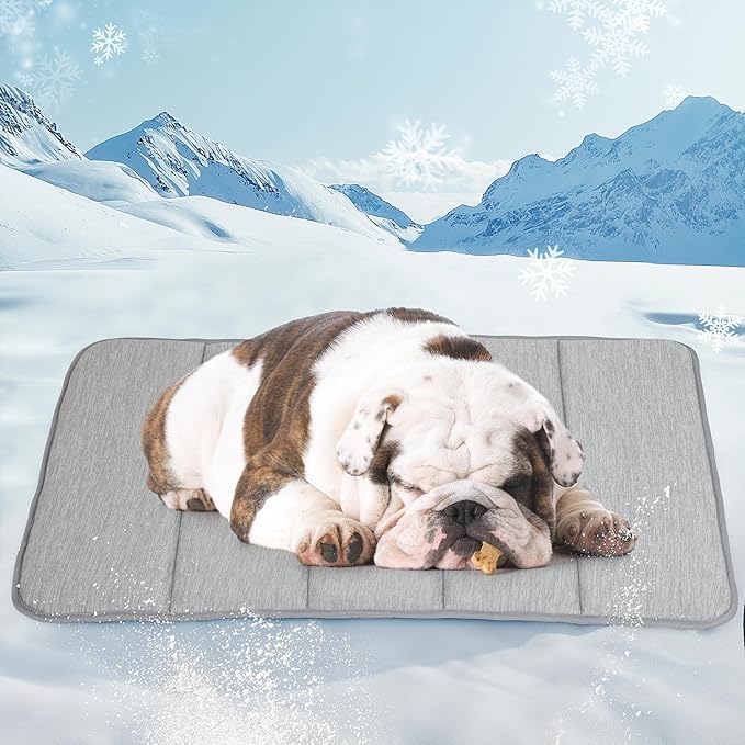 Dog Cooling Mat for Medium Dogs - 30x20 Orthopedic Memory Foam Pet Pad for Summer, QMAX>0.5, Washable Premium Comfort Crate Pad for Your Furry Companion, Grey-PawvioPets