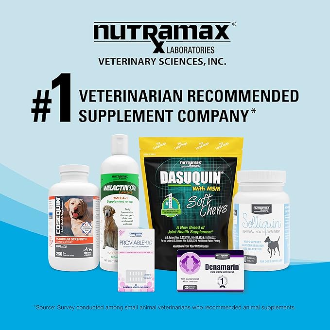 Nutramax Denosyl Liver and Brain Health Supplement for Medium Dogs - With S-Adenosylmethionine (SAMe), 30 Tablets-PawvioPets