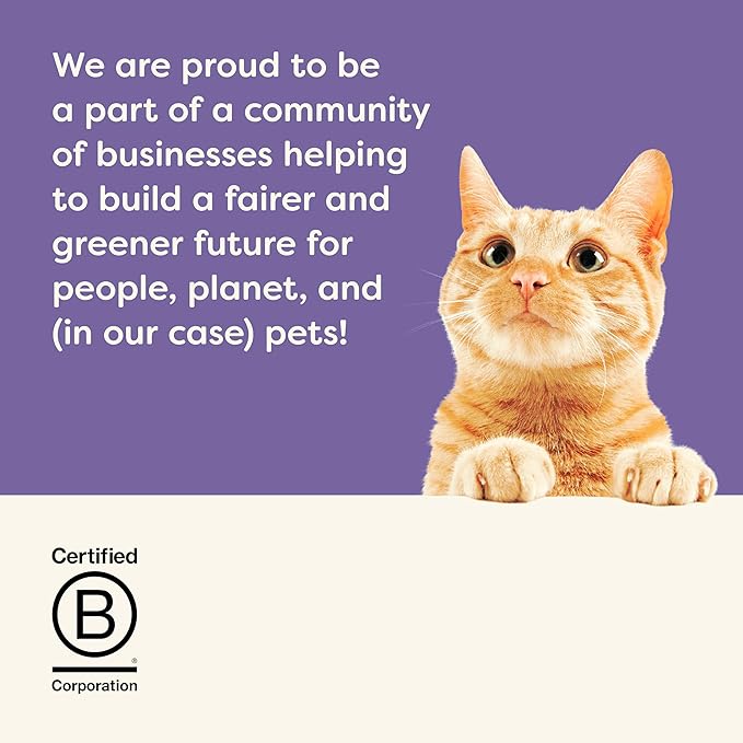 Applaws Natural Wet Canned Cat Food, Made with Limited and Natural Ingredients, Real Protein with No Artificial Additives, Fish Selection Variety Pack in Broth (12 x 2.47oz Cans)-PawvioPets