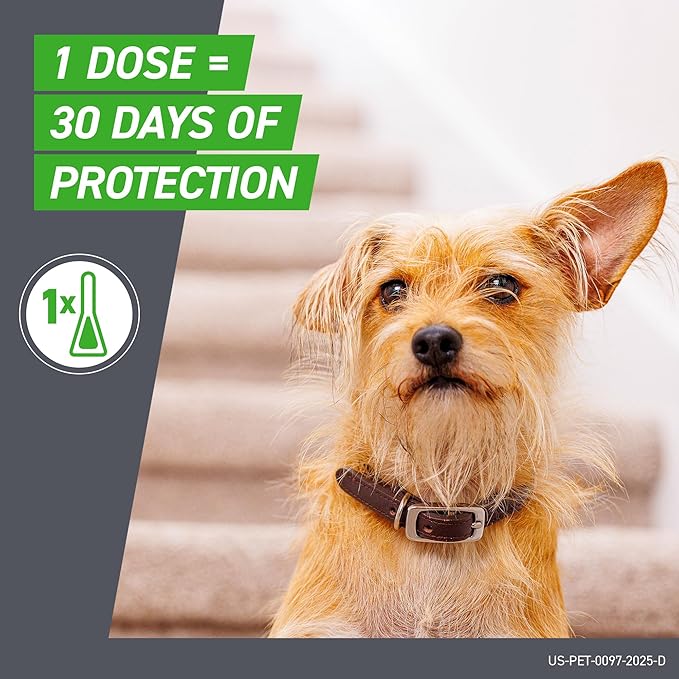 FRONTLINE Plus Flea and Tick Treatment for X-Large Dogs Up to 89 to 132 lbs. 3 Treatments-PawvioPets