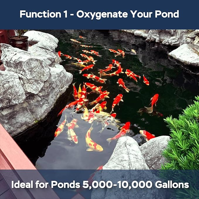 AquaMiracle All-in-1 Koi Pond Aeration Kit Pond Air Pump with Self-Sinking Airline Rubber Air Diffuser, Air Flow Control Pond Aerator for Outdoor Pond 5,000-10,000 Gallons-PawvioPets