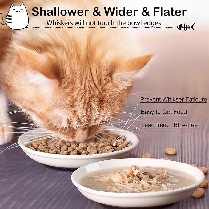 Cat Food Bowl,Healthy Ceramic Cat Bowls for Indoor Cats,Anti Whisker Fatigue Cats Dishes Set,Shallow Wide Kitten Plates for Food and Water,Non-Slip Silicone Bottom,6 Pack-PawvioPets