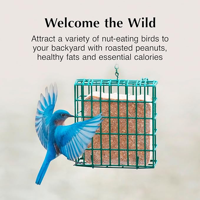 C&S Peanut Butter Delight No Melt Suet Dough, Suet Cakes for Wild Birds, 11.75 Ounces, Pack of 8-PawvioPets