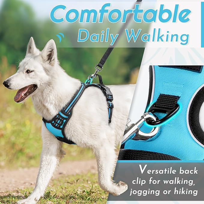 Eagloo Dog Harness Small Sized Dog, No Pull Service Vest with Reflective Strips and Control Handle, Adjustable and Comfortable for Easy Walking, No Choke Pet Harness with 2 Metal Rings, Sky Blue, S-PawvioPets