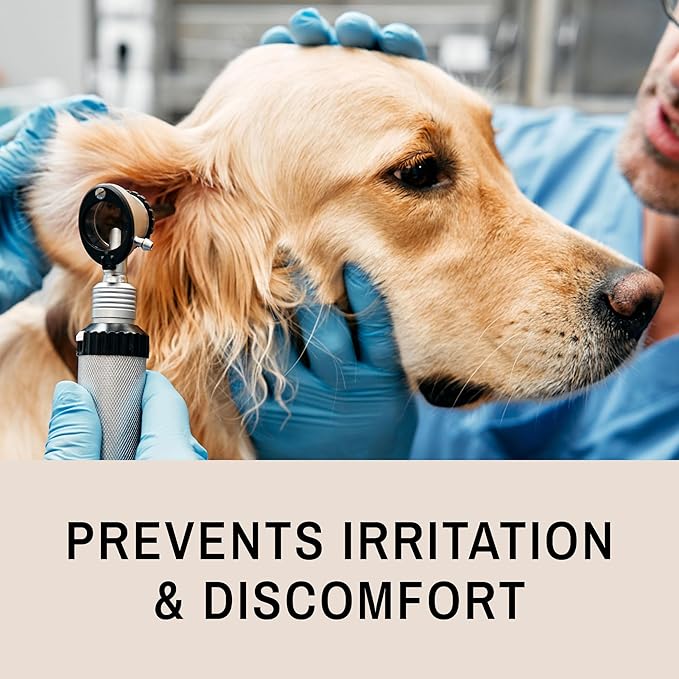 Eye Envy Fresh Ear Cleaning Wipes for Dogs. Made in The USA from Natural Ingredients. Unscented. Prevents Infections. Safe and Non-Irritating. Removes Dirt, Debris, and Wax buildup. 60 Count.-PawvioPets