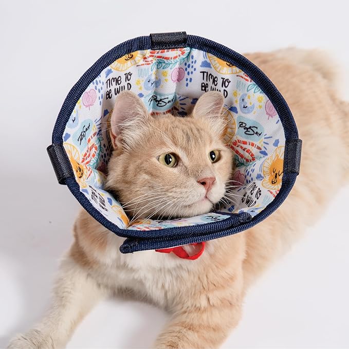 Cat Cone Collar – Colorful Cat Pattern - Lightweight Recovery Cone for Cats, Anti-Lick & Anti-Scratch, Vet Recommended, Elizabethan Collar (Colorful, XS [Neck Girth: 8.6"-12.2"])-PawvioPets