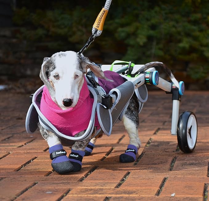 Double Dipped Thick Textured Waterproof Cotton Dog Socks | PawFlex Comfy Pawz Soft Indoor/Outdoor Pet Booties | Non-Slip Silicone Grip at Inner Wrist for No Twisting or Sliding Off| Adjustable Strap-PawvioPets