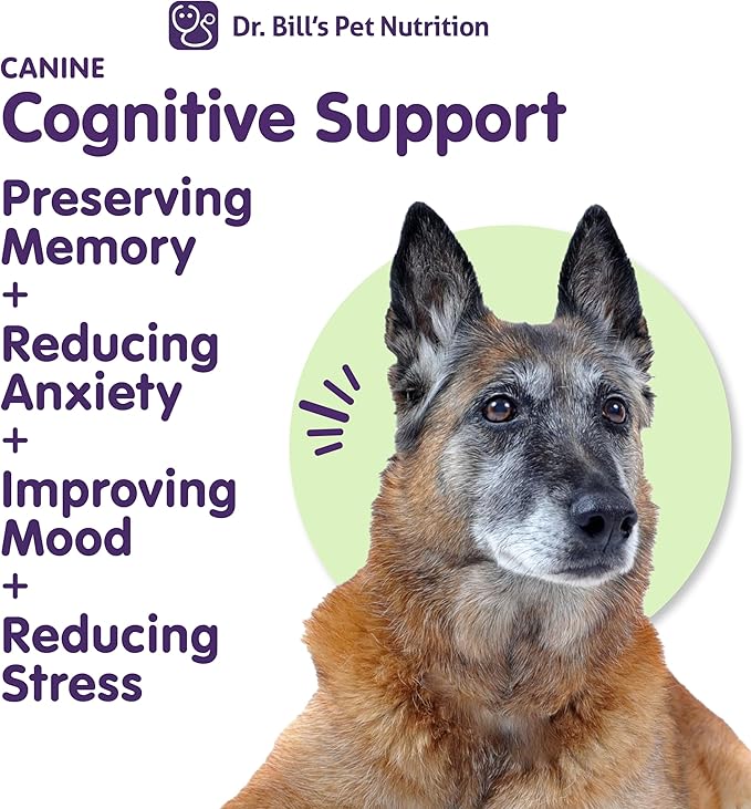 Dr. Bill’s Canine Cognitive Support | Memory Support Supplement Multivitamin for Dogs | Contains Gingko Biloba, L-Carnosine, Vitamin B-12, L-Glutamine, L-Tyrosine, and DHA for Adult and Senior Dog-PawvioPets
