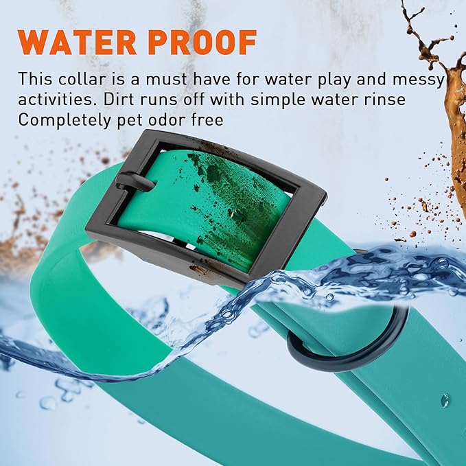 Dogline Biothane Waterproof Dog Collar Strong Coated Nylon Webbing with Black Hardware Odor- Proof for Easy Care Easy to Clean High Performance Fits Small Medium or Large Dogs, Teal-PawvioPets