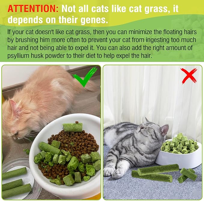 50g Cat Grass Teething Treat, Delicious Cat Grass Teething Snack Edible Cats Chew Toy for Teeth Cleaning and Hairball Removal-PawvioPets
