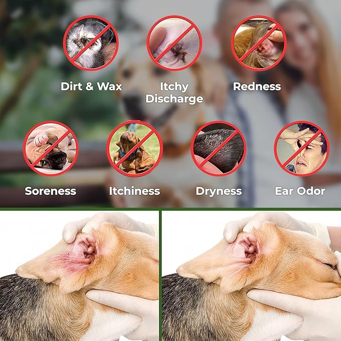 Arava Ear Cleaner Wipes for Dogs Cats Puppies Kittens - 100 Count - Natural Medicated Cleansing Deodorizer - Removes Dirt Wax - Pet Wipes for Cat Ear Cleaning, Dog Ear Cleaner-PawvioPets