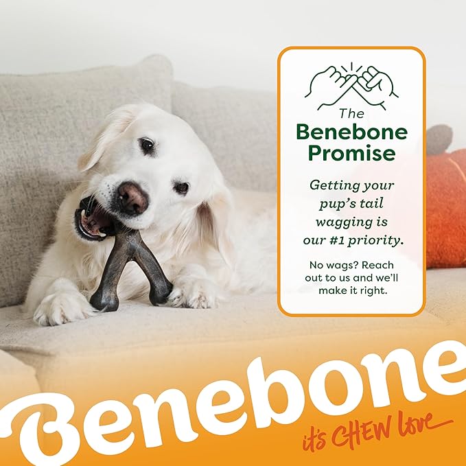 Benebone Pumpkin Spice Wishbone – Limited Edition Flavor, Durable Dog Chew Toy for Aggressive Chewers, Made in USA, Large-PawvioPets