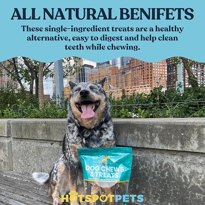 Full-Size Cow Hooves for Dogs | (50 Pack) All-Natural Long Lasting Dog Chews | Made from Grass Fed Cattle | Tasty Treat for Oral Hygiene | Fantastic Alternative for Rawhide and Bully Sticks-PawvioPets