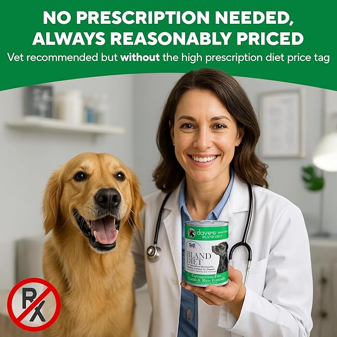Dave's Pet Food Bland Dog Food (Lamb & Rice), Canned Wet Dog Food for Sensitive Stomachs, Gluten-Free, Digestive Care, 13.2 oz (Case of 12)-PawvioPets