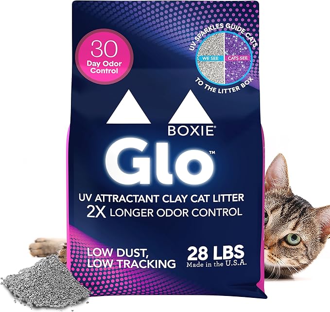 Boxie® Glo™ 30 Day Odor Control Clumping Clay Cat Litter, 28lb, Multi-Cat, 99.9% Dust-Free, Low Tracking, UV Light Attractant, Superior Clumping for Easy Scooping-PawvioPets