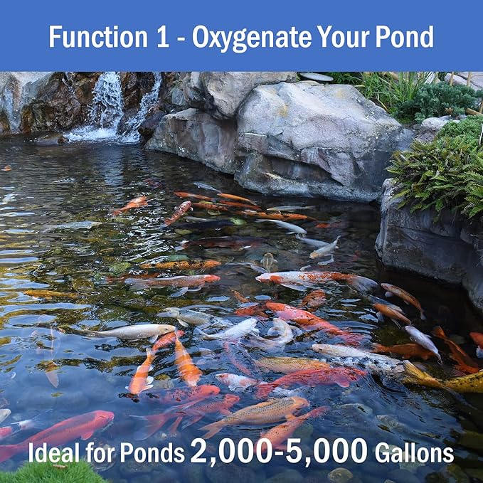 AquaMiracle All-in-One Koi Pond Aerator for Outdoor Ponds, Pond Air Pump Pond Aeration System with Self-Sinking Airline Flow Control Rubber Air Diffuser-PawvioPets
