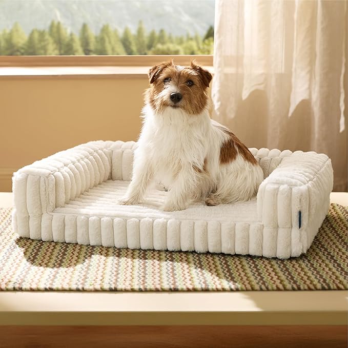 Bedsure Orthopedic Dog Bed for Medium Dogs, Waterproof Memory Foam Medium Pet Beds with Sides, Non-Slip Bottom and Egg-Crate Foam Dog Couch Sofa with Washable Removable Corduroy Cover, Cream-PawvioPets