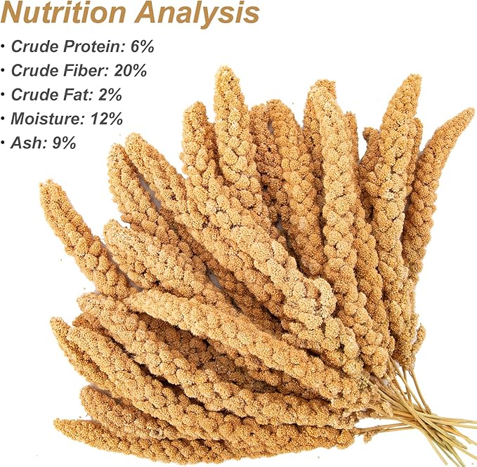 Amzey 5.5 LB Spray Millet for Parakeets, 100% Natural Dried Millet Grain for Birds, Non-GMO Bird Treat for Cockatiel, Finches, Parrots & Lovebirds-PawvioPets