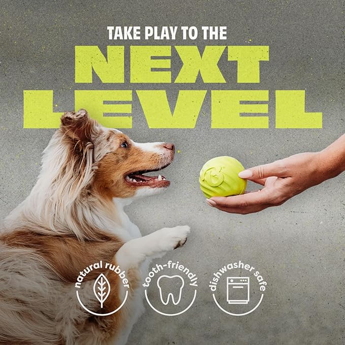 Benebone Dog Ball, Natural Rubber-PawvioPets